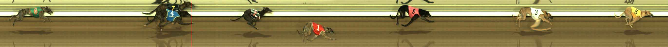 Race result finish photo
